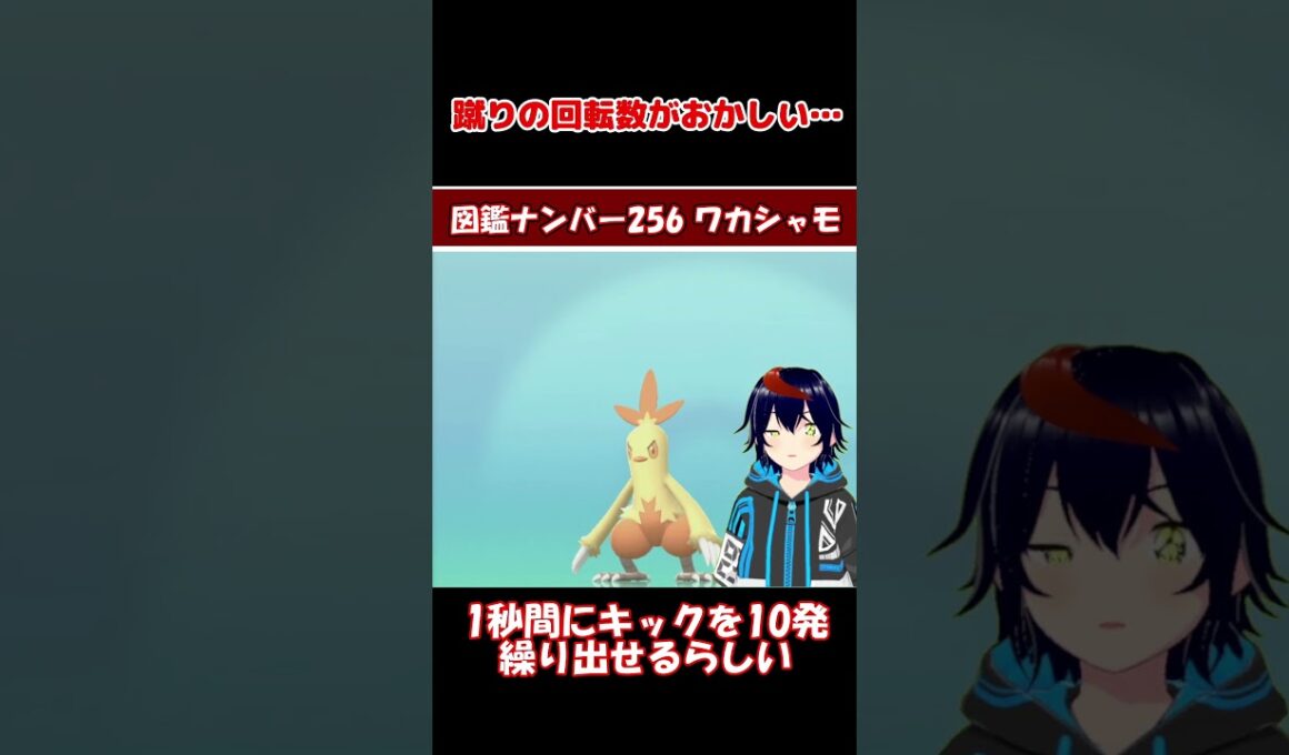 ワカシャモ、キック性能がヤバすぎる【りるポケ図鑑】