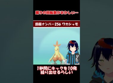 ワカシャモ、キック性能がヤバすぎる【りるポケ図鑑】