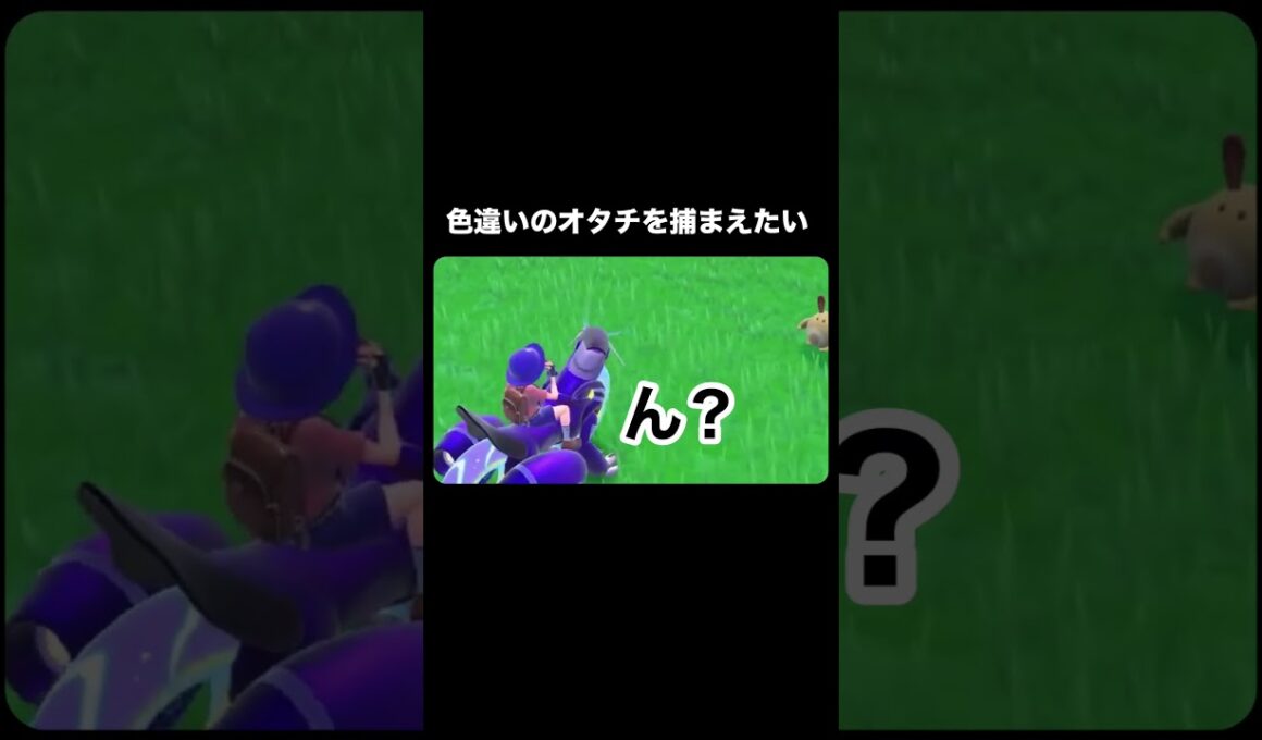 色違いのオタチを捕まえたい #ポケモンsv #ゼロの秘宝 #ゲーム実況 #shorts