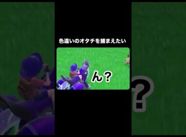 色違いのオタチを捕まえたい #ポケモンsv #ゼロの秘宝 #ゲーム実況 #shorts