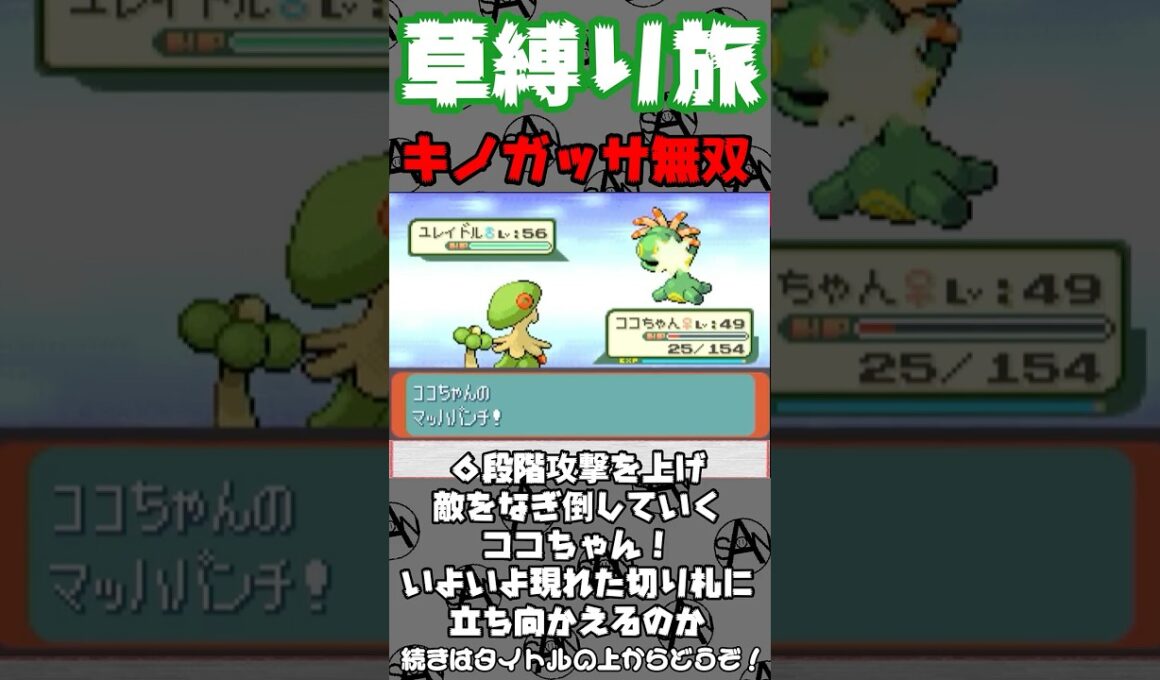 キノガッサ無双の始まり【ポケモンルビー】 #ポケモン #ゲーム実況 #切り抜き