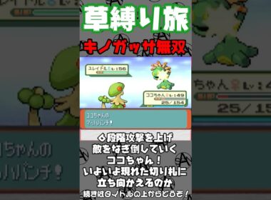 キノガッサ無双の始まり【ポケモンルビー】 #ポケモン #ゲーム実況 #切り抜き
