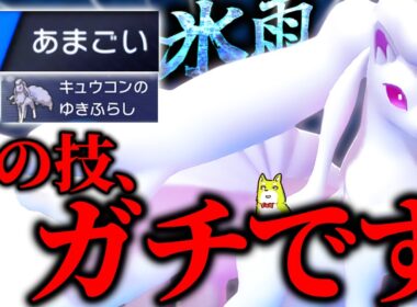 一見ふざけてる「雨ごいアローラキュウコン」が「ガチで使える」事をお教えしましょう…！【ポケモンチャンピオンズ】