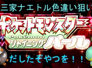 ポケモンBDSPナエトル色違い狙い