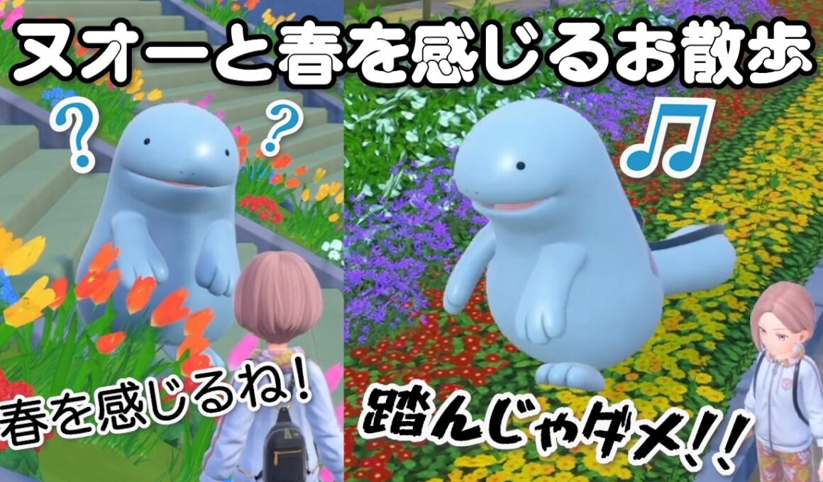 ヌオーとお花畑で春を感じるお散歩をした【ポケモンSV】