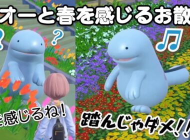 ヌオーとお花畑で春を感じるお散歩をした【ポケモンSV】