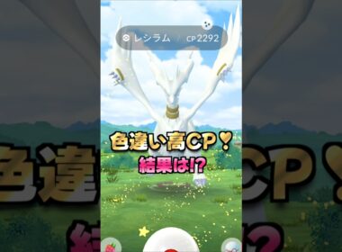 レシラム１０戦♪色違い高CP出現⁉シャドウレシラム用のアメも欲しい!!【ポケモンGO】