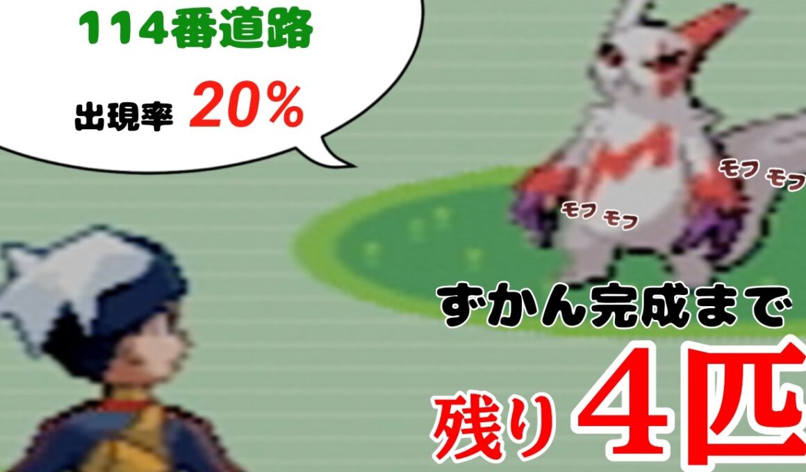 【ポケモンルビー】ザングース捕獲