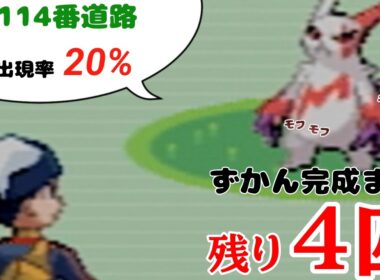 【ポケモンルビー】ザングース捕獲
