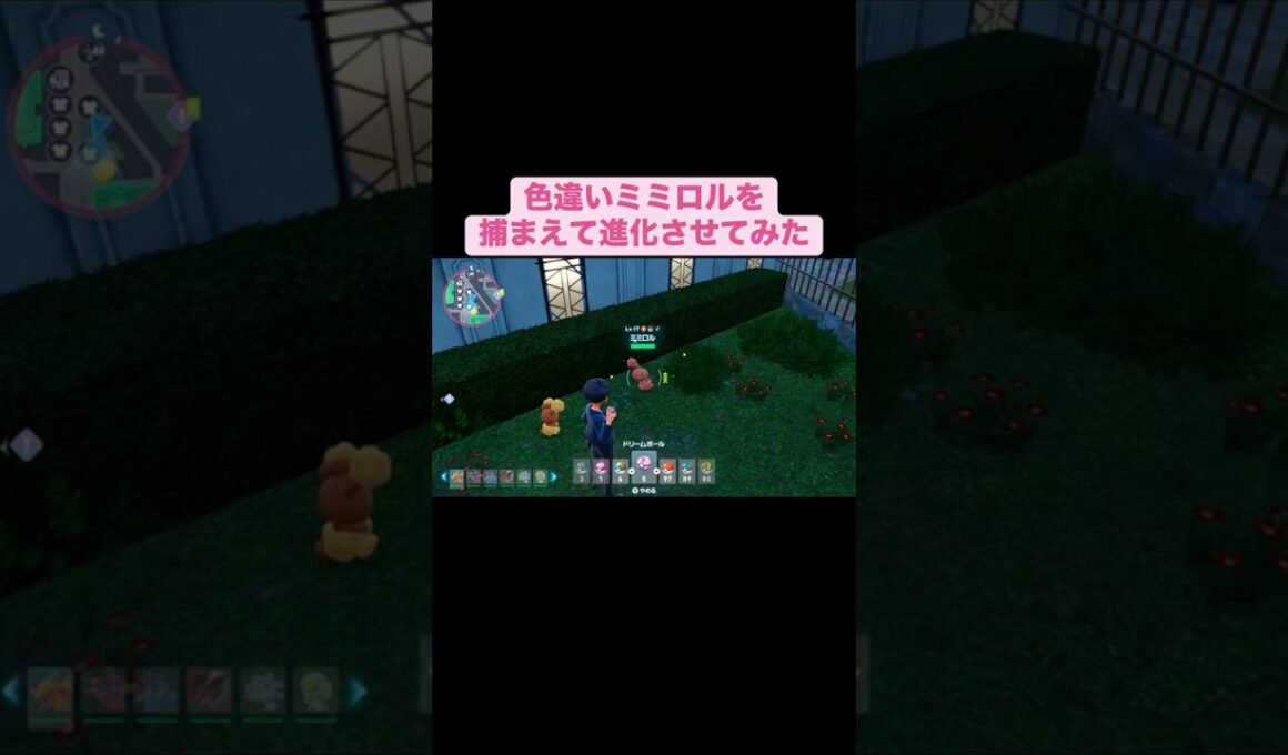 色違いミミロルを捕まえて進化させてみた【ポケモンZA】