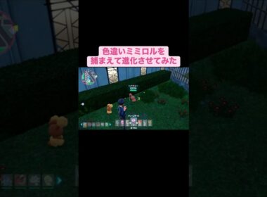 色違いミミロルを捕まえて進化させてみた【ポケモンZA】