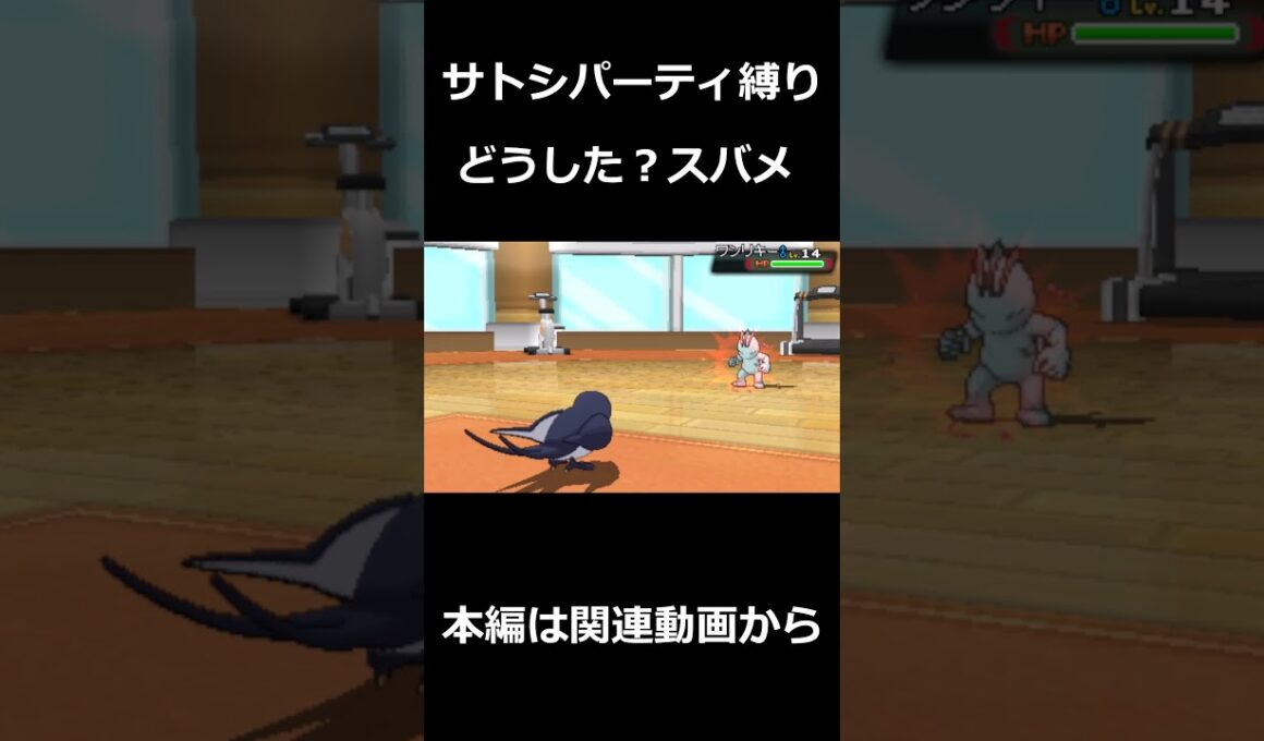 どうした？スバメ