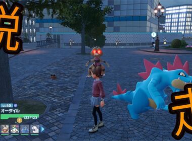 【バグ】親分ワルビルとメグロコがワイルドゾーン8から脱走！？【ポケモンZA】【編集なし】