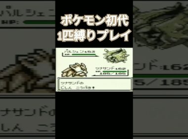 【ポケモン初代】ポケモン初代1匹縛りプレイ!!サンドver【縛りプレイ】#ポケモン初代 #縛りプレイ #サンド #サンドパン #ゲーム実況