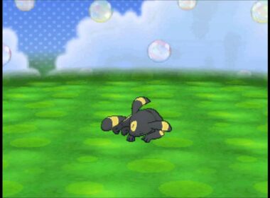 ポケパルレ　ブラッキーと戯れるだけの動画