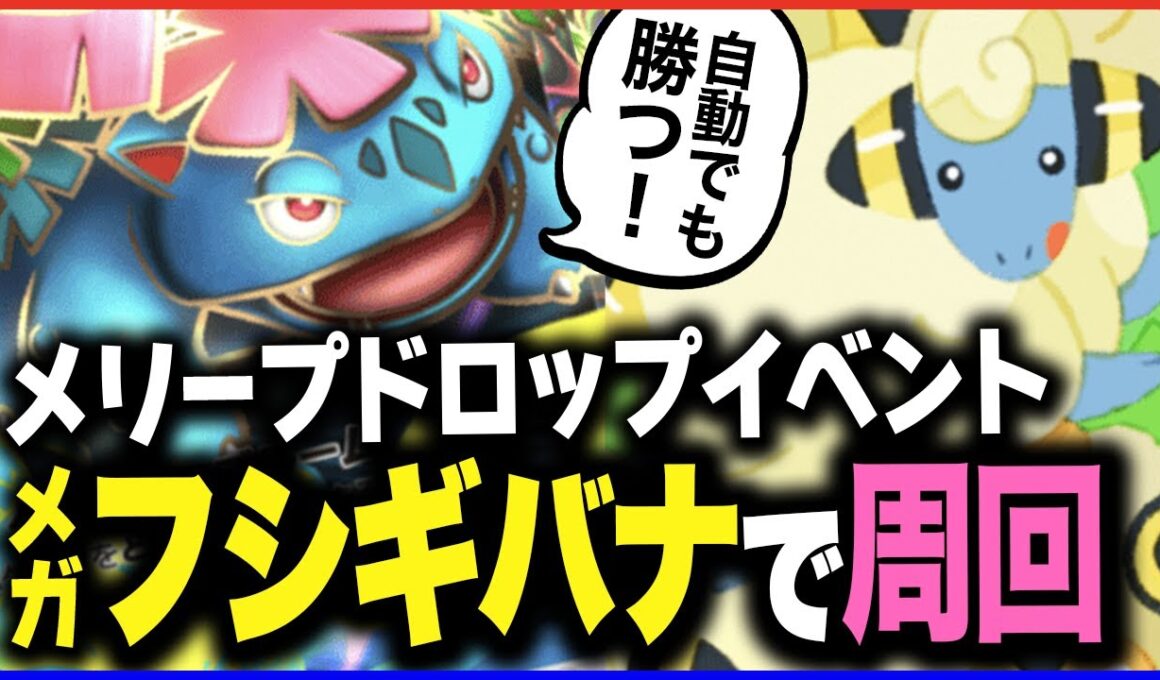 【ポケポケ】メリープドロップイベントを自動で周回 | 立ち回りもシンプルで簡単【メガフシギバナ】【トリミアン】