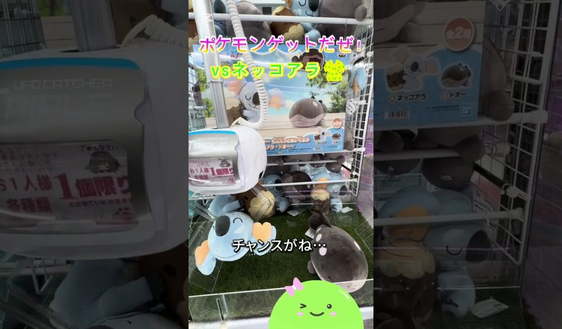 ポケモンゲットだぜ！✨vsネッコアラ🐨9️⃣  #shorts