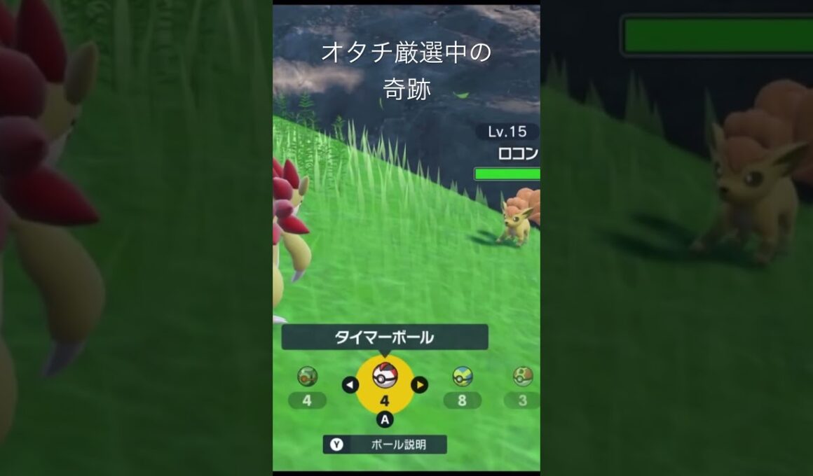 オタチ厳選中の奇跡✨4096分の1を引いていく❣️#ポケモン #ポケモンsv #色違い #ドラゴン #vtuber #女性vtuber #女性配信者 #切り抜き
