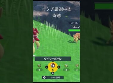 オタチ厳選中の奇跡✨4096分の1を引いていく❣️#ポケモン #ポケモンsv #色違い #ドラゴン #vtuber #女性vtuber #女性配信者 #切り抜き