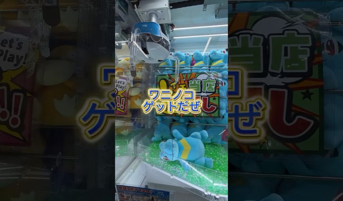 クレゲ日記 ポケモン ワニノコゲットだぜ #クレーンゲーム #ポケモン