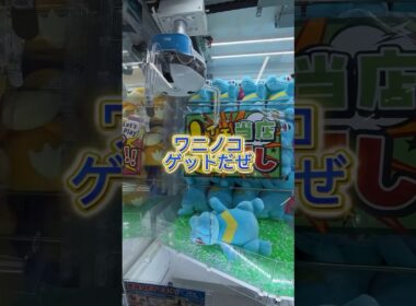 クレゲ日記 ポケモン ワニノコゲットだぜ #クレーンゲーム #ポケモン