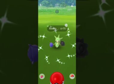Getting Unlucky With ✨Shiny Roselia in #pokemongo