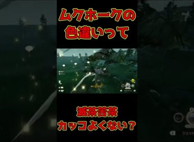 野生で出てきた色違いのムクホークが滅茶苦茶カッコいいんだが！？ 【ポケモンレジェンズアルセウス】#Shorts