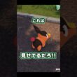 ポカブが可愛いだけ【#ポケモンレジェンズza 】#shorts
