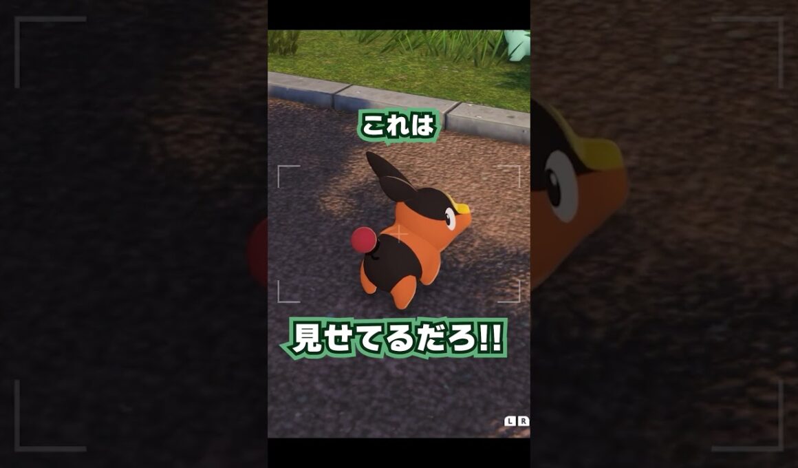 ポカブが可愛いだけ【#ポケモンレジェンズza 】#shorts