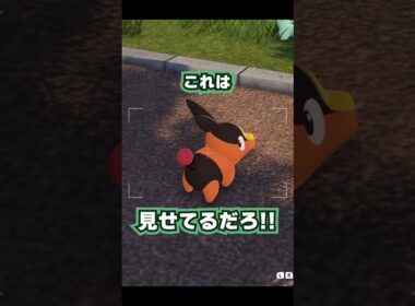 ポカブが可愛いだけ【#ポケモンレジェンズza 】#shorts
