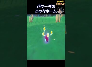バクーダを見てたら肉が食いたくなるのは自分だけ？ポケモンバイオレット #Shorts