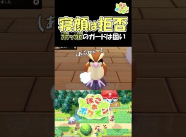 寝顔は拒否！ポッポのガードは固い【ぽこあポケモン】