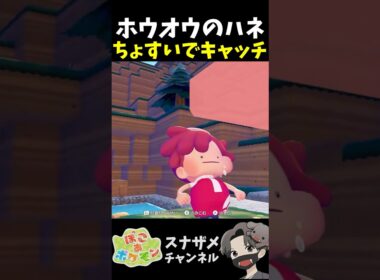 検証！ホウオウのハネ落下地点に水撒けば直接キャッチできる説【ぽこあポケモン ぽこポケ 初心者向け攻略】 #shorts #ゲーム実況