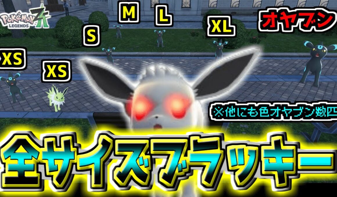 色オヤブンよりレアらしいXSとXLサイズ！？『色違いオヤブンイーブイ』出るまで厳選したら全サイズ揃ったぁぁぁ！！ブラッキー+サンダース観察！（おまけクチート）【Pokémon LEGENDS Z-A】