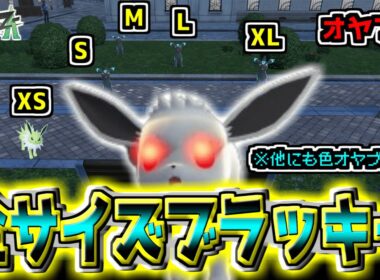 色オヤブンよりレアらしいXSとXLサイズ！？『色違いオヤブンイーブイ』出るまで厳選したら全サイズ揃ったぁぁぁ！！ブラッキー+サンダース観察！（おまけクチート）【Pokémon LEGENDS Z-A】