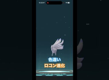 #ロコン #色違いポケモン #進化 #ポケモンgo #pokemongo