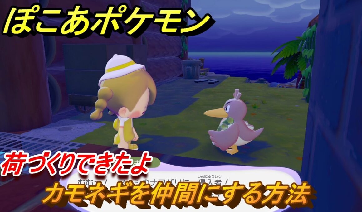 ぽこあポケモン　カモネギを仲間にする方法　荷づくりできたよ　＃４２　【ぽこポケ】