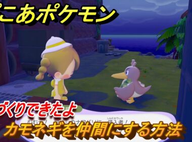 ぽこあポケモン　カモネギを仲間にする方法　荷づくりできたよ　＃４２　【ぽこポケ】