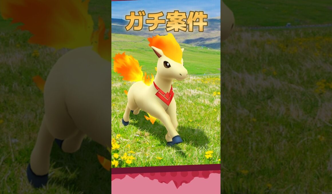 忙しい人向け！今週やるべきことまとめ！ゼクロムレイド＆ヒトツキ厳選がんばりましょう！　6月8日～14日　　ポケモンGO