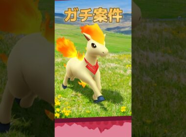 忙しい人向け！今週やるべきことまとめ！ゼクロムレイド＆ヒトツキ厳選がんばりましょう！　6月8日～14日　　ポケモンGO