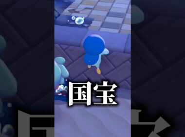 ポッチャマ、キミは国宝だよ【#ぽこあポケモン】