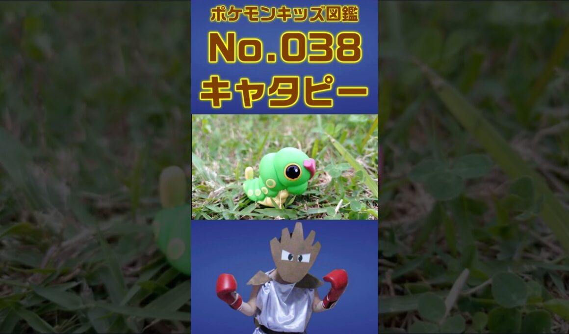 ポケモン実体図鑑No 038キャタピー #ポケモンキッズ#キャタピー