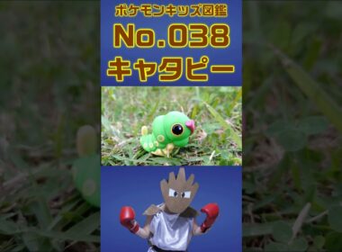 ポケモン実体図鑑No 038キャタピー #ポケモンキッズ#キャタピー