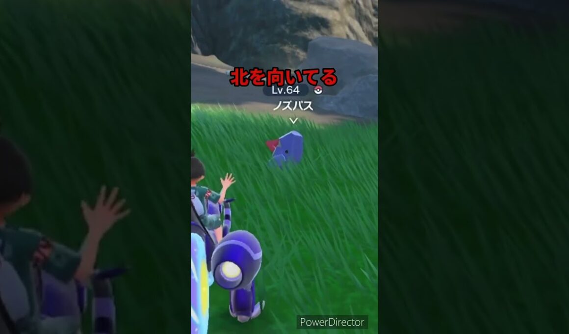 【ポケモンバイオレット】ノズパスを見れば北がわかる　#ポケモンバイオレット #ゲームリハビリ #shorts