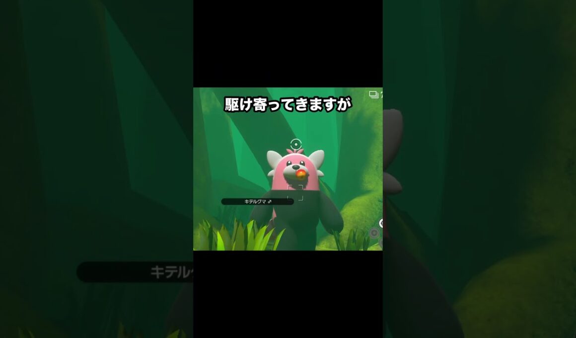 【恐怖】キテルグマの走る理由の違いが怖すぎる、、、❗️ #ポケモン #newポケモンスナップ