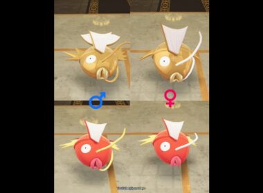 コイキング達🎶Magikarp #ポケモンza #pokemonlegendsza #pokemon