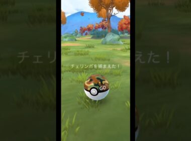 ポケモンGOで色違いチェリンボ捕まえる#ポケモン#色違い#チェリンボ#無音