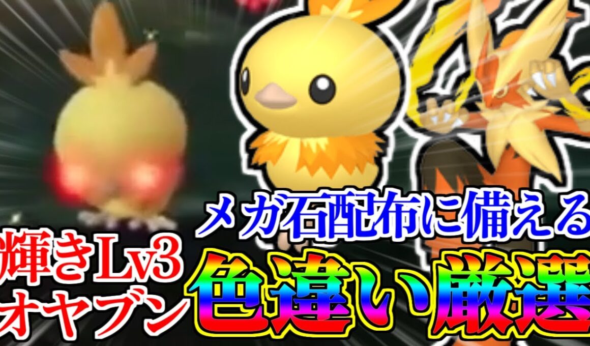 【神】メガバシャーモ解禁に備えてアチャモのオヤブン色違い厳選をしたら余裕すぎたwww【#ポケモンZA】