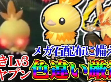 【神】メガバシャーモ解禁に備えてアチャモのオヤブン色違い厳選をしたら余裕すぎたwww【#ポケモンZA】