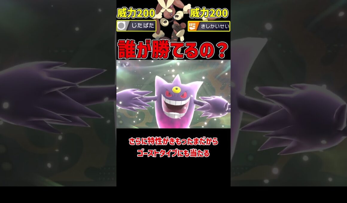 一番火力がえぐいメガミミロップ